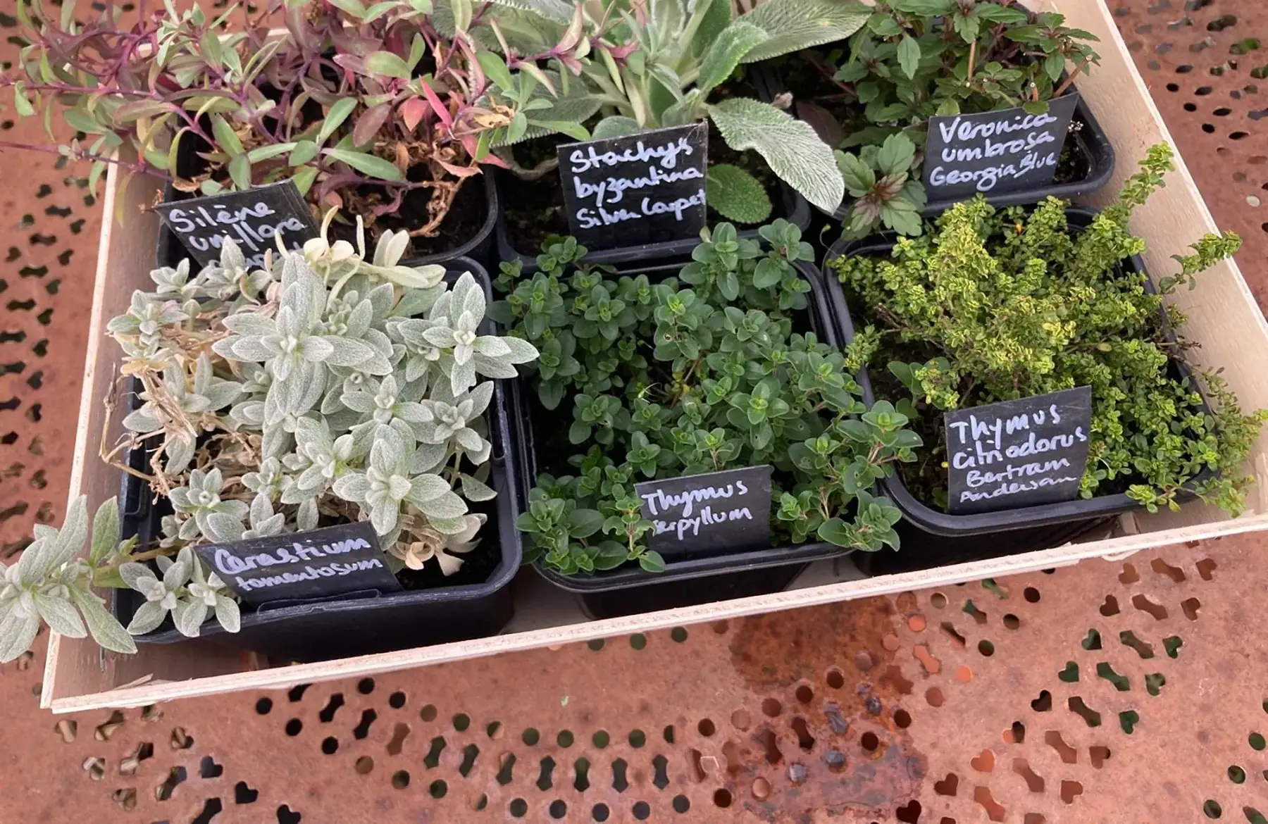 Couvrez-moi ce sol... en toute saison !