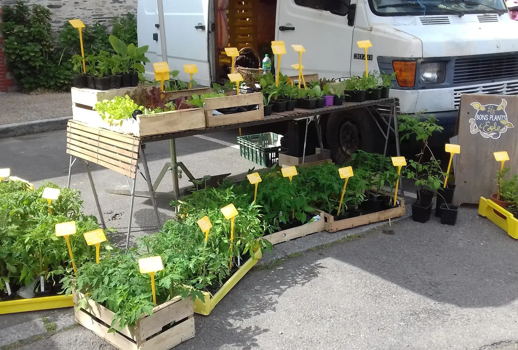 Les Bons Plants d Eole