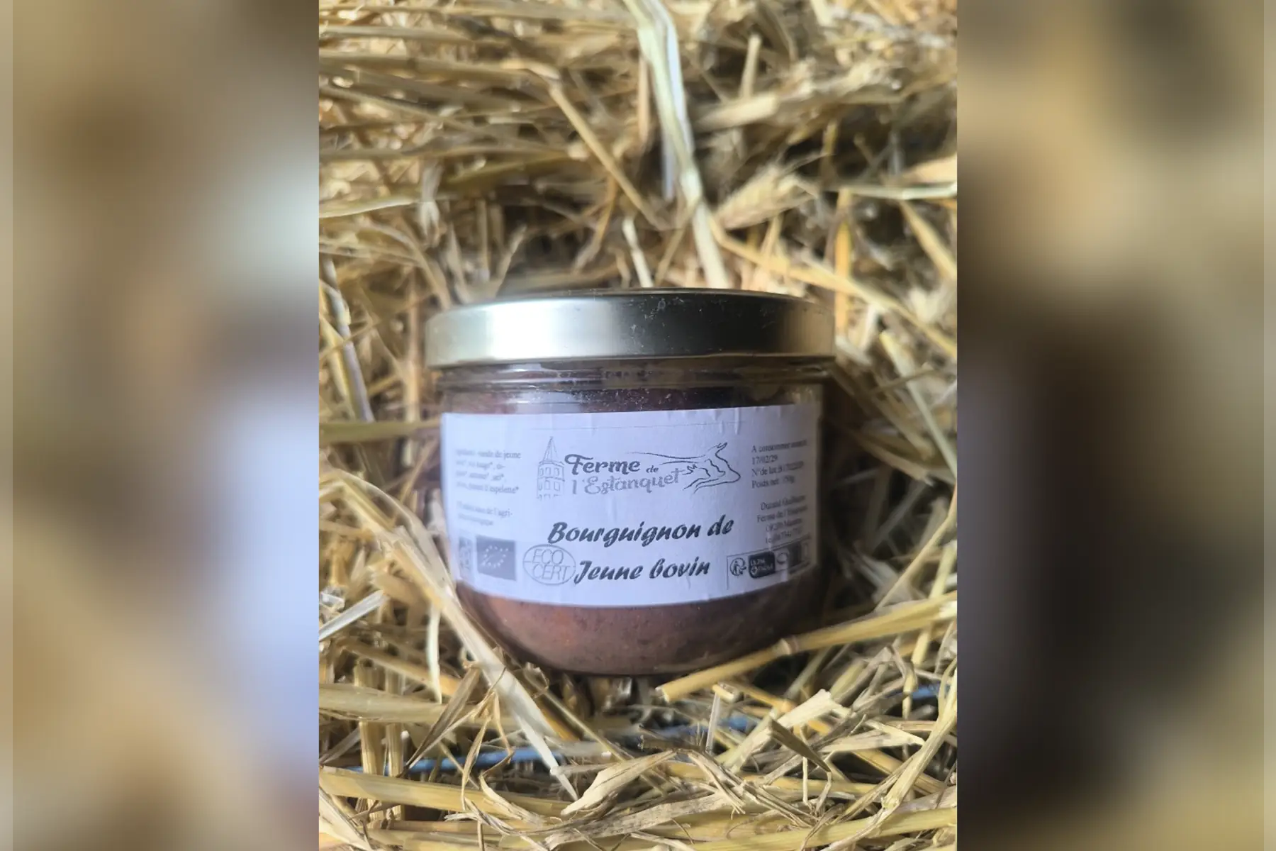 bourguignon de jeune bovin