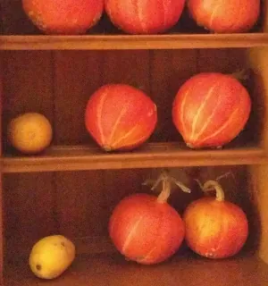 Pousse pousse binette