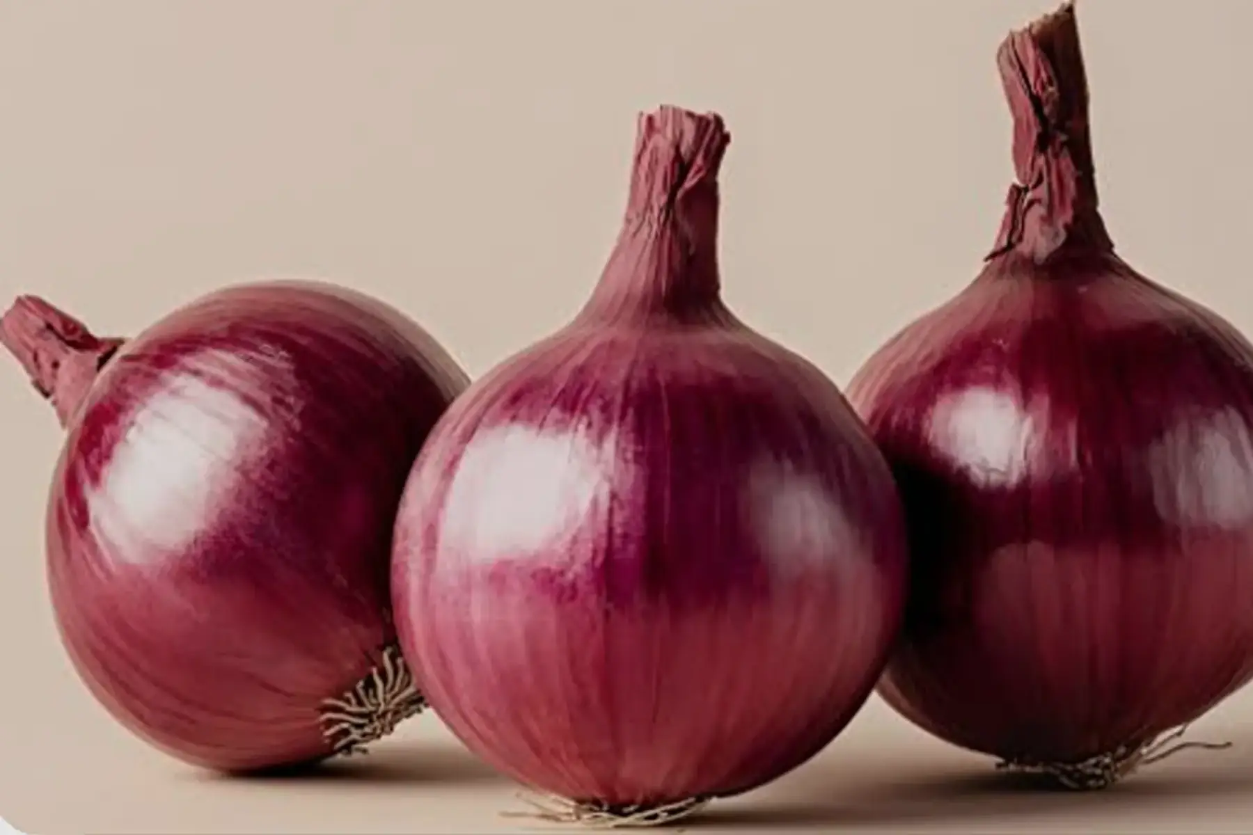 Oignons rouges
