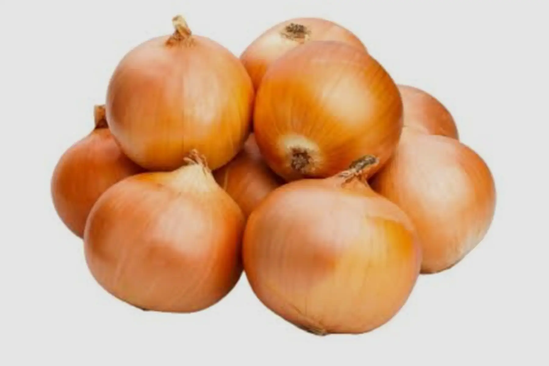Oignons jaune