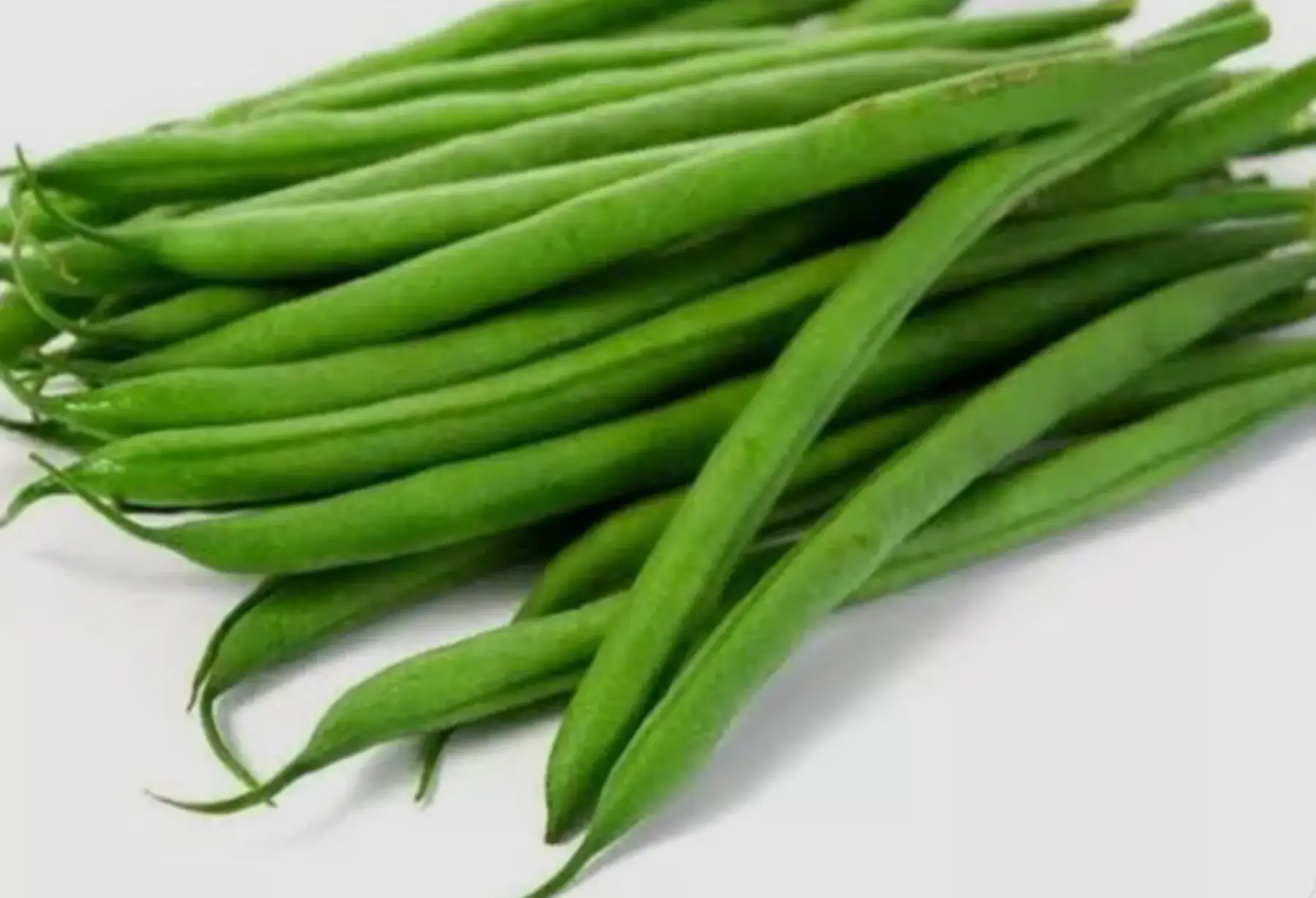Haricots verts