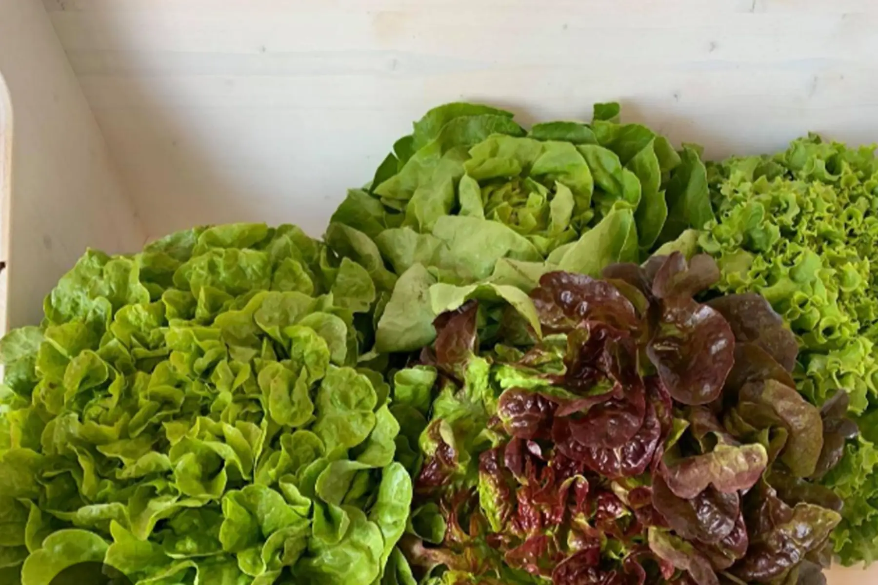 Salades