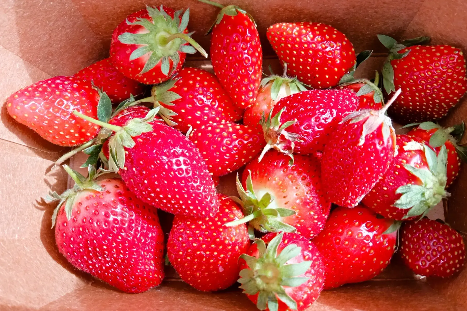 Fraises