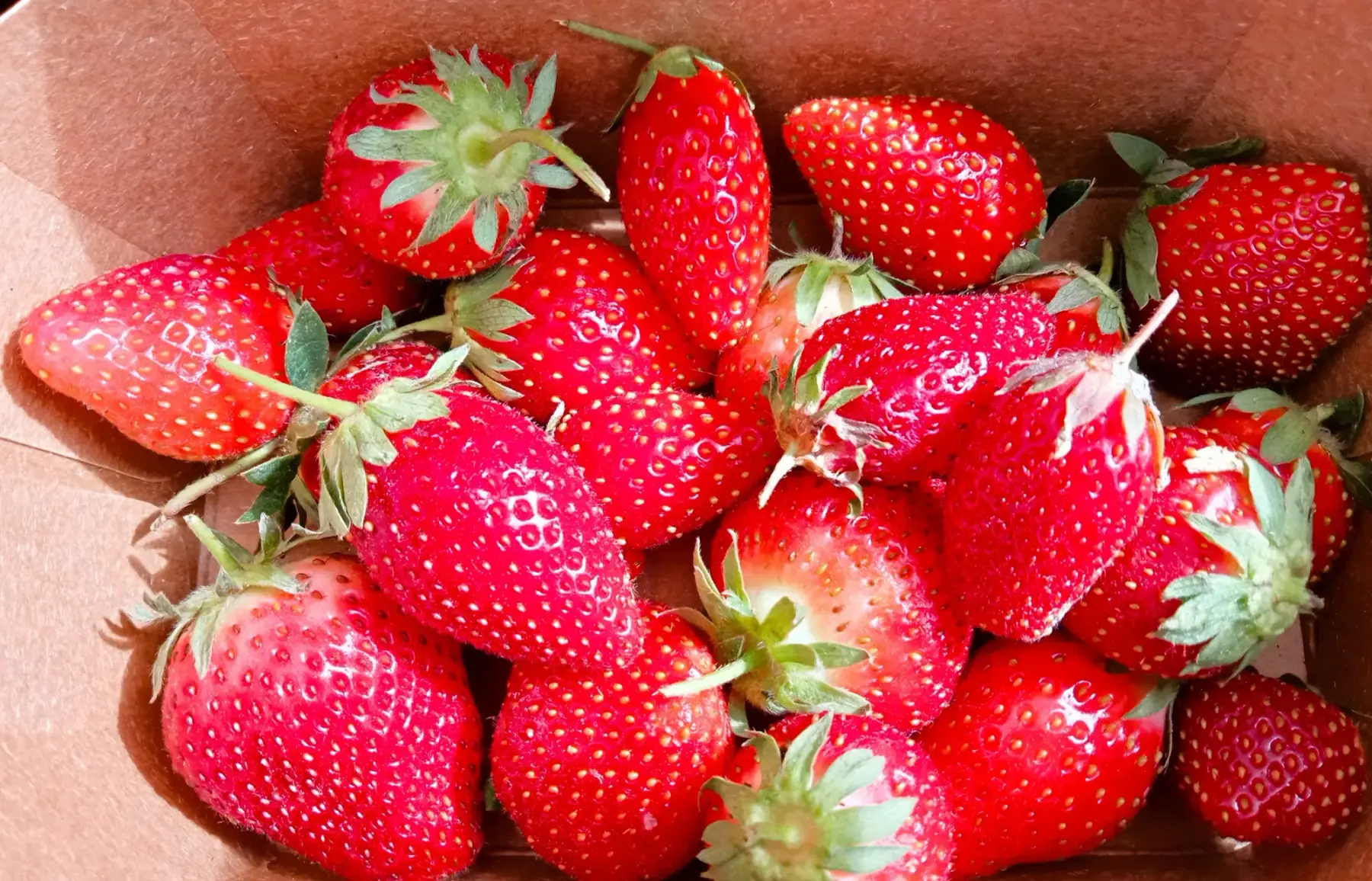 Lot de 3 barquettes de fraises - 2 achetées = 1 offerte