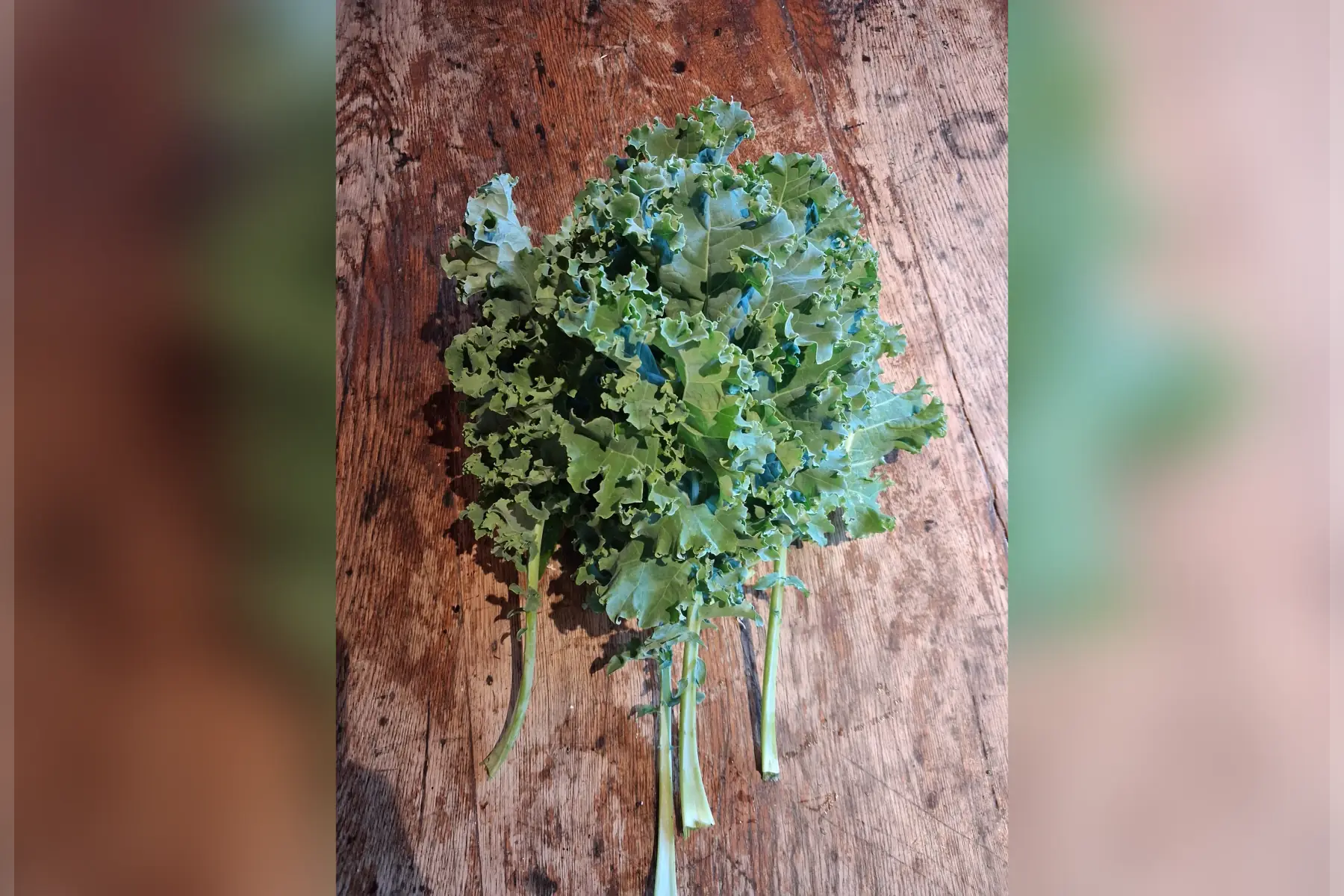 Chou kale