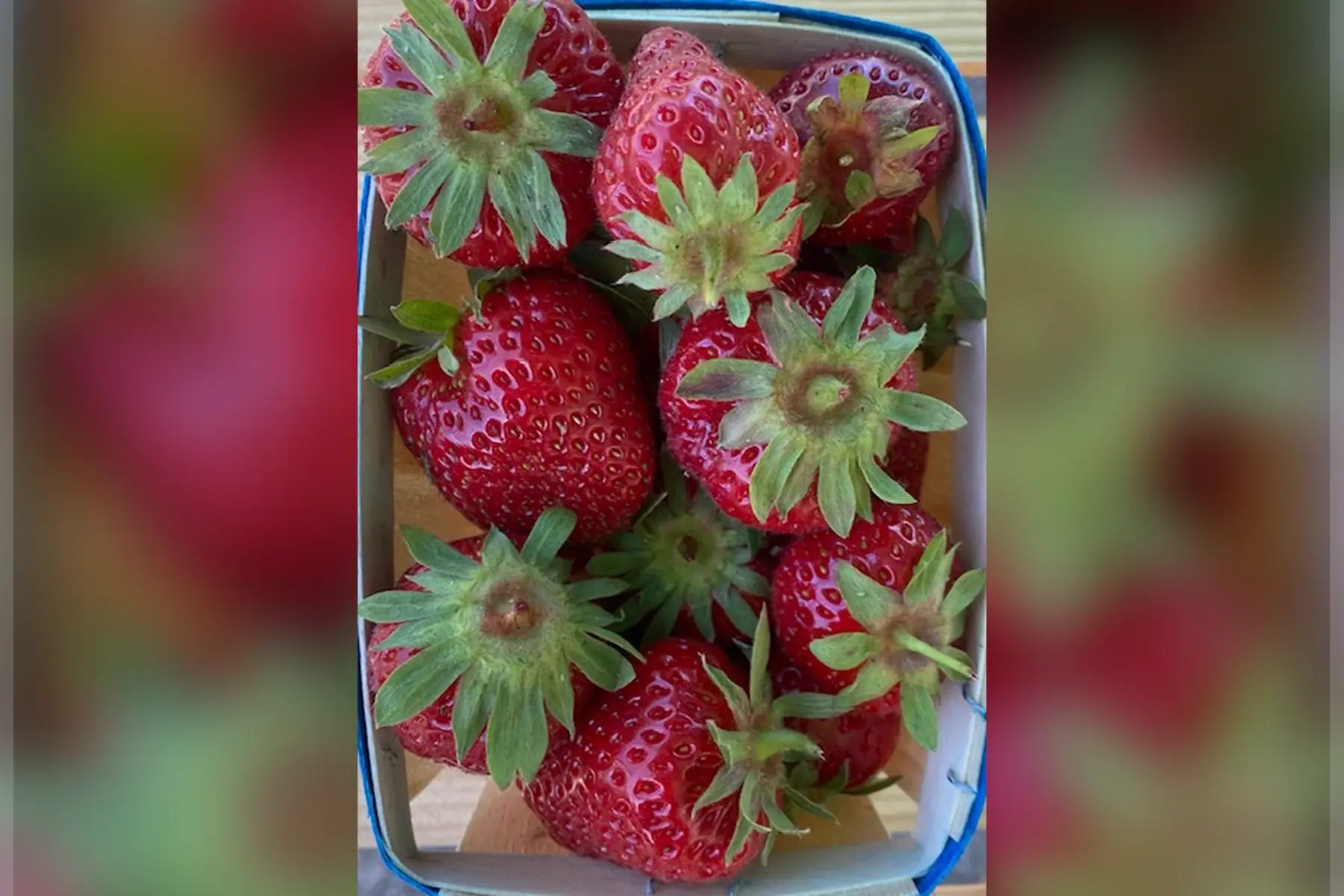 Fraises 250g