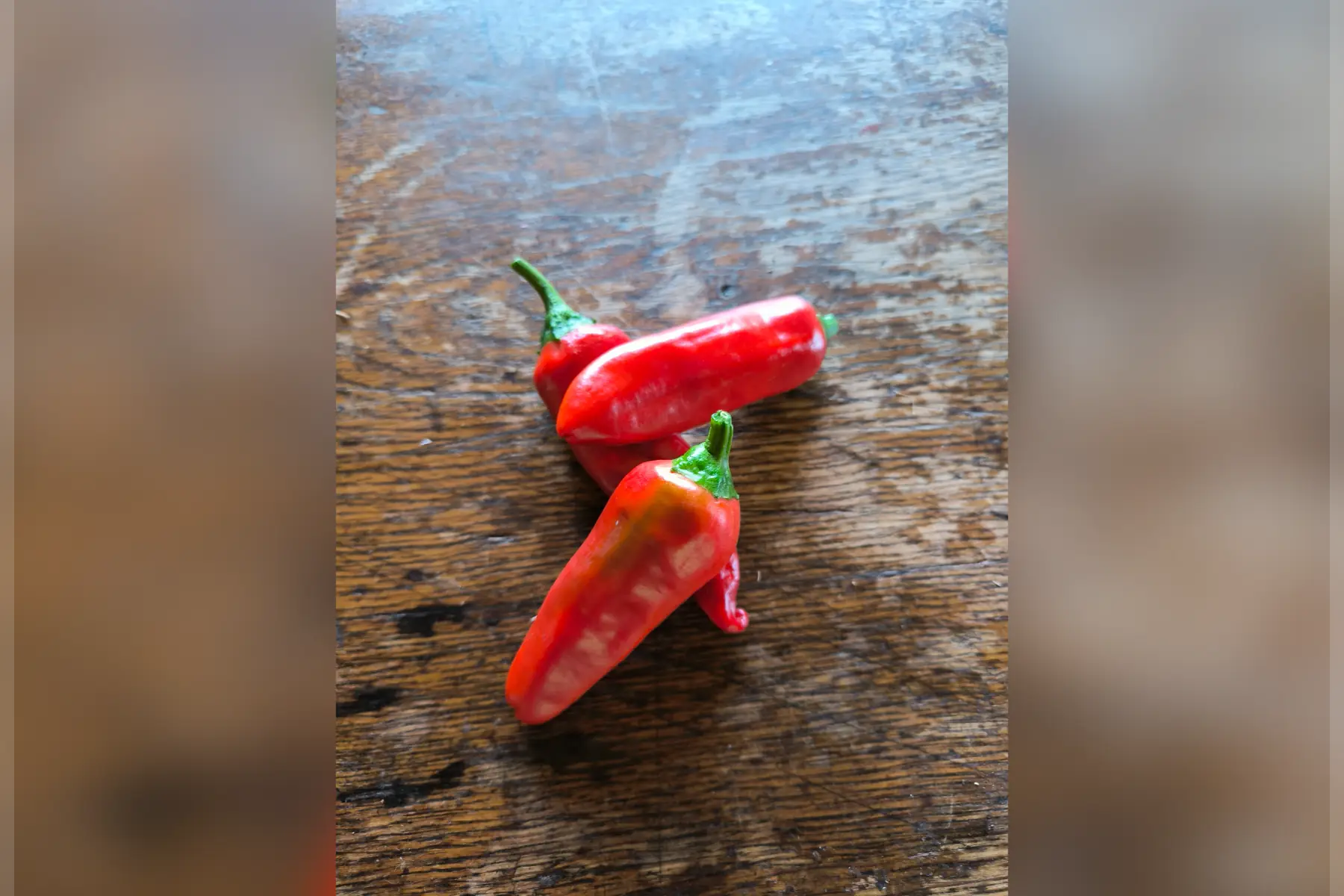 Piment basque