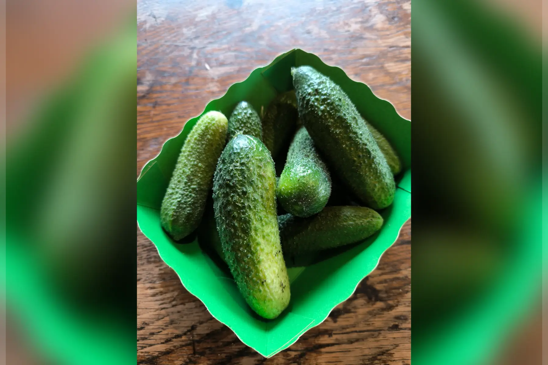 Cornichons frais (gros)