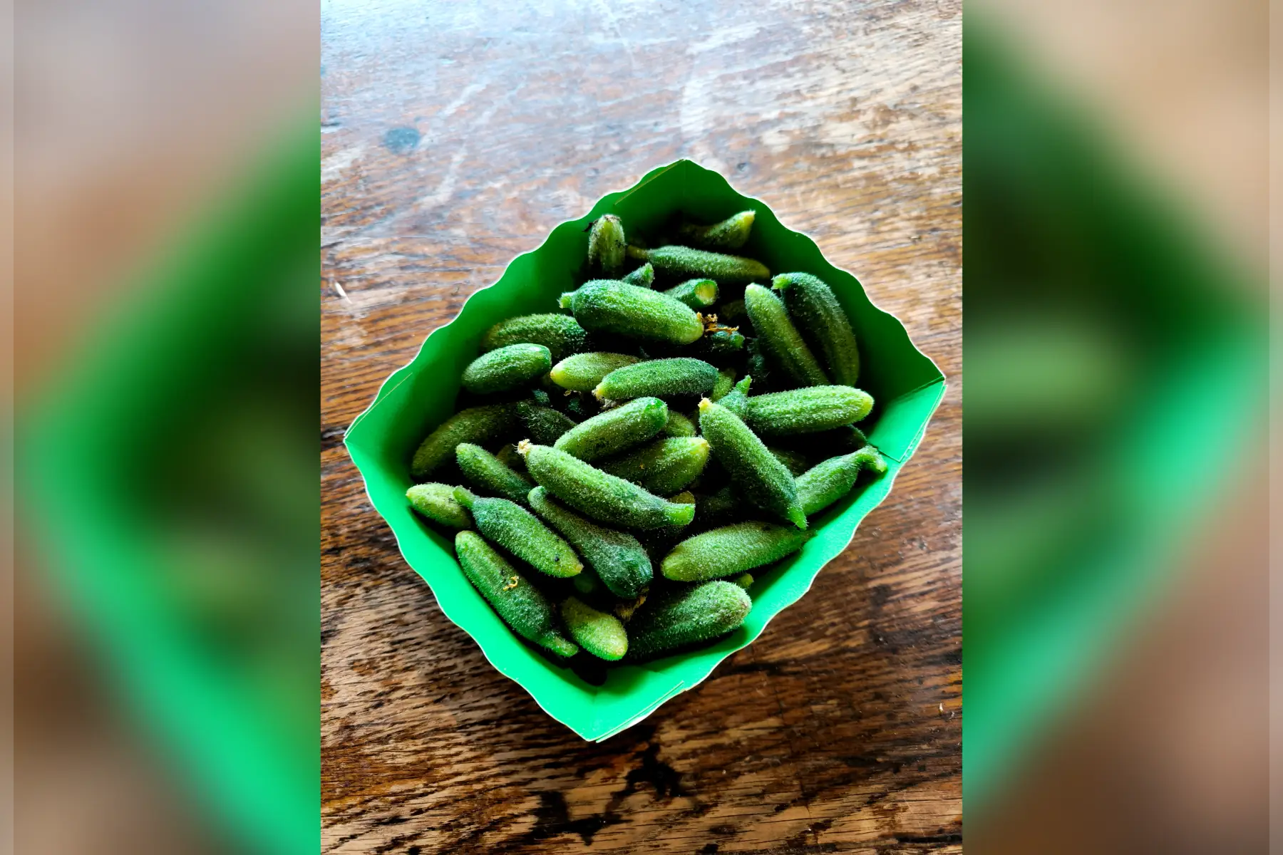 Cornichons frais