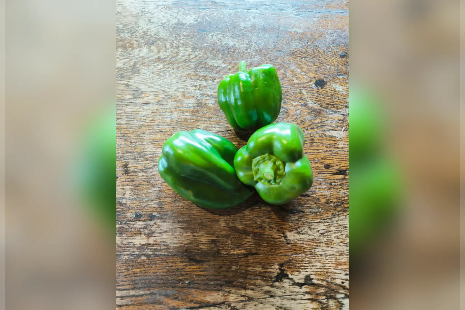 Poivrons vert