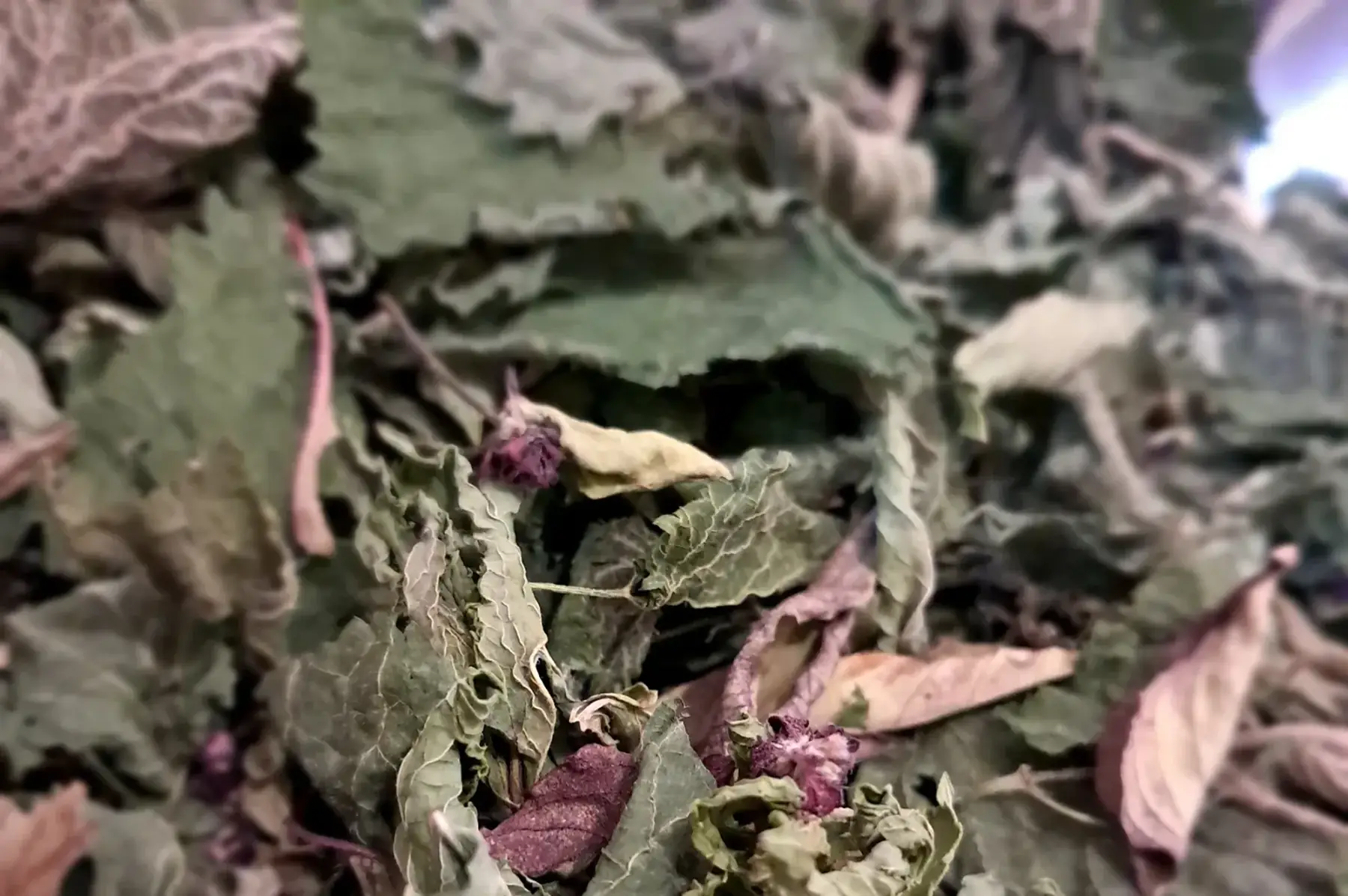 Infusion Mél "Printemps parfumé"