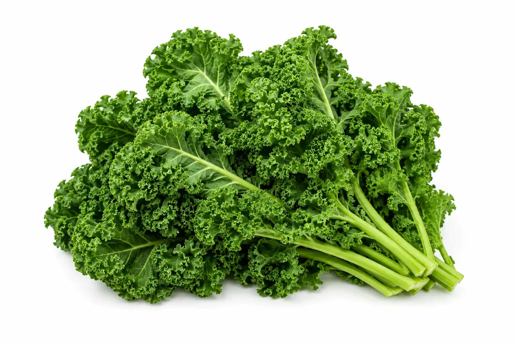 Kale - PROMO