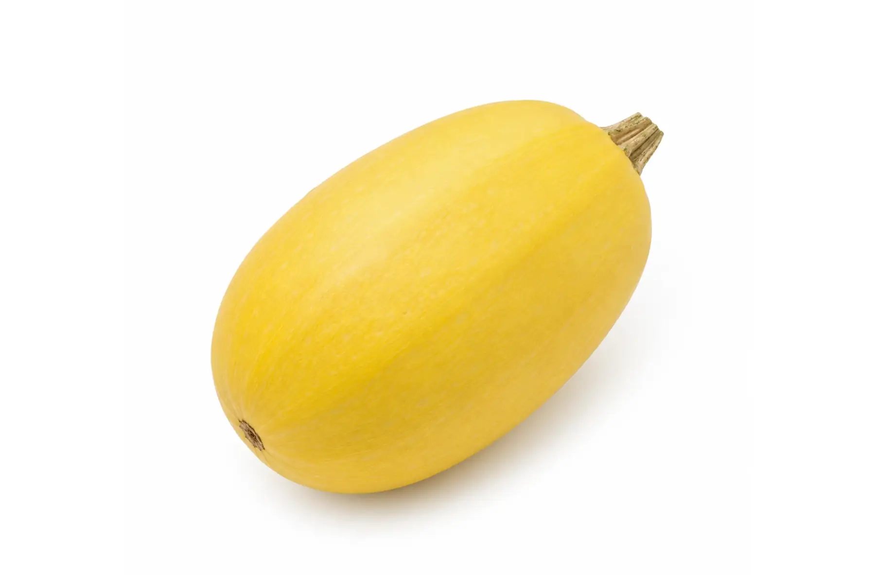 Courge spaghetti
