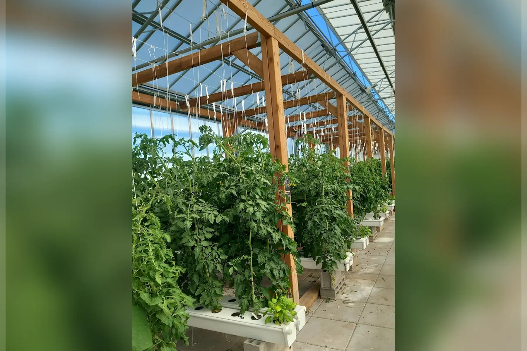 La ferme des jardins perchés