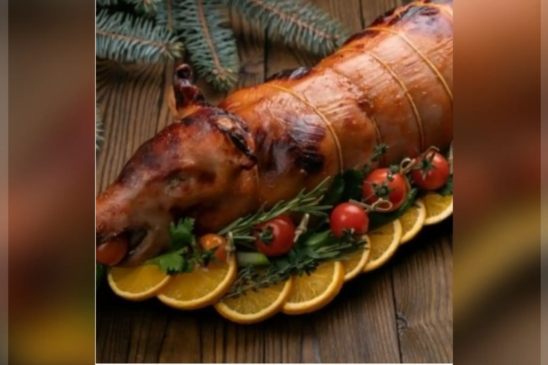 Porcelet de lait Bio