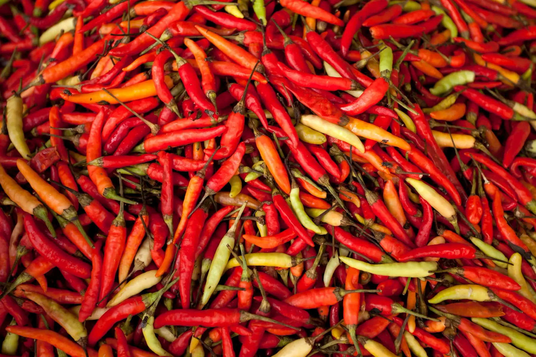 Petits piments longs