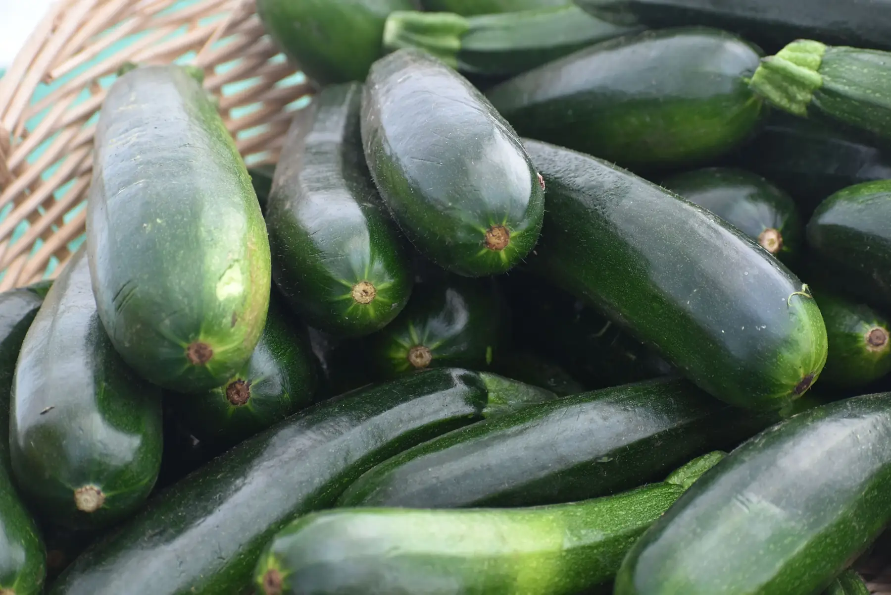 Courgette verte